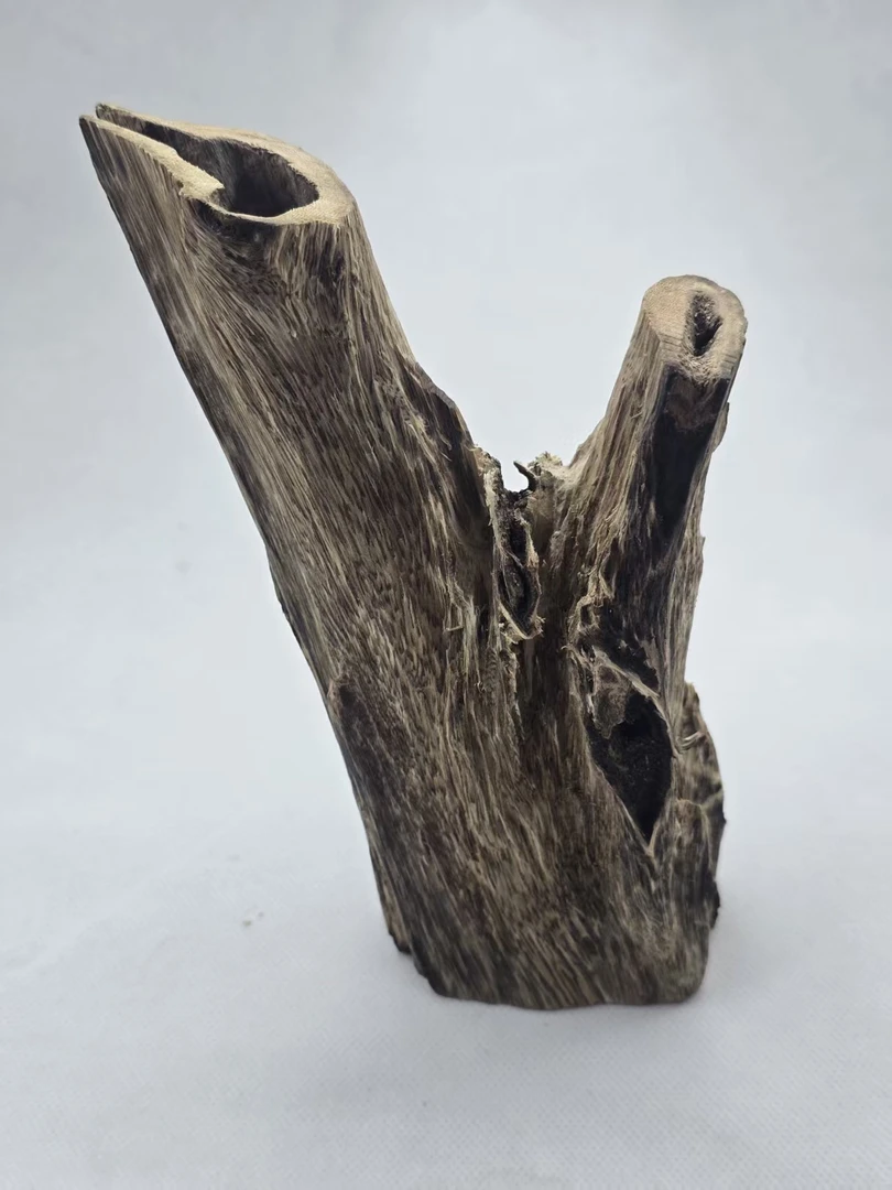 沉香奇楠沉香虫漏老料原木摆件182.7克