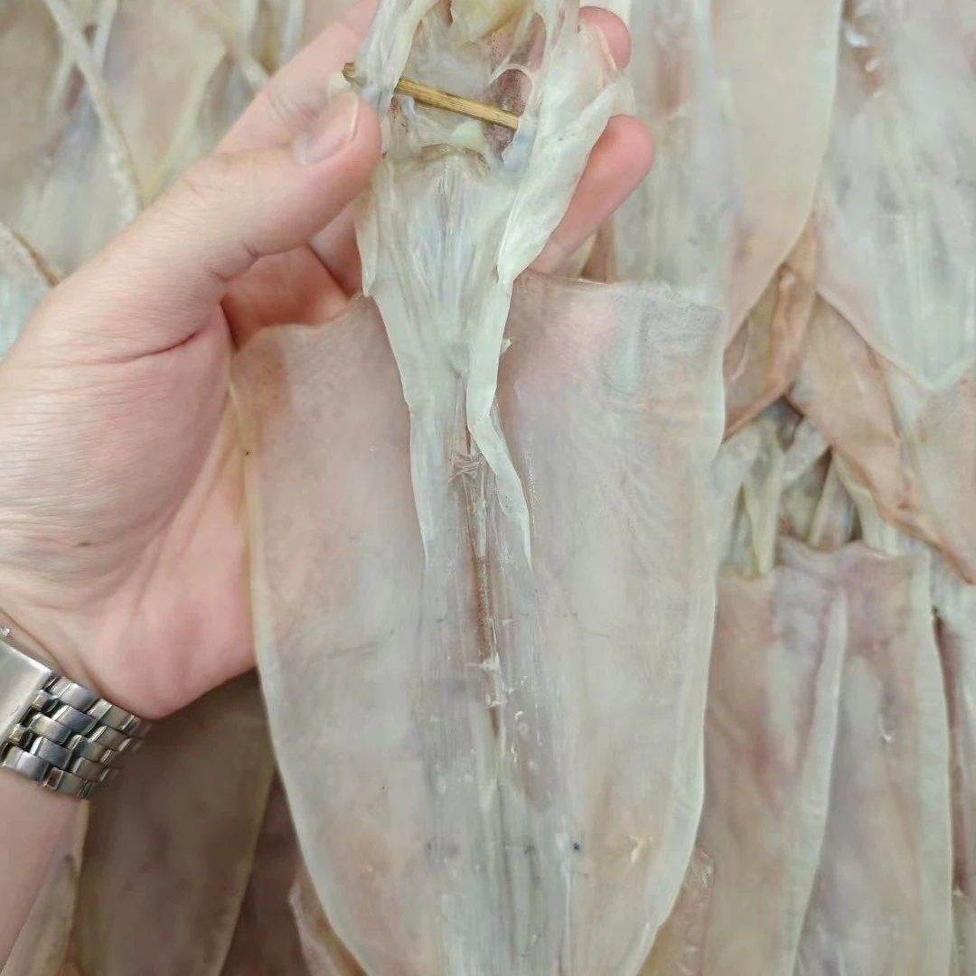 汕尾陆丰本港大中号钓鱿鱼母干半干湿鱿鱼干干鱿鱼大号正宗