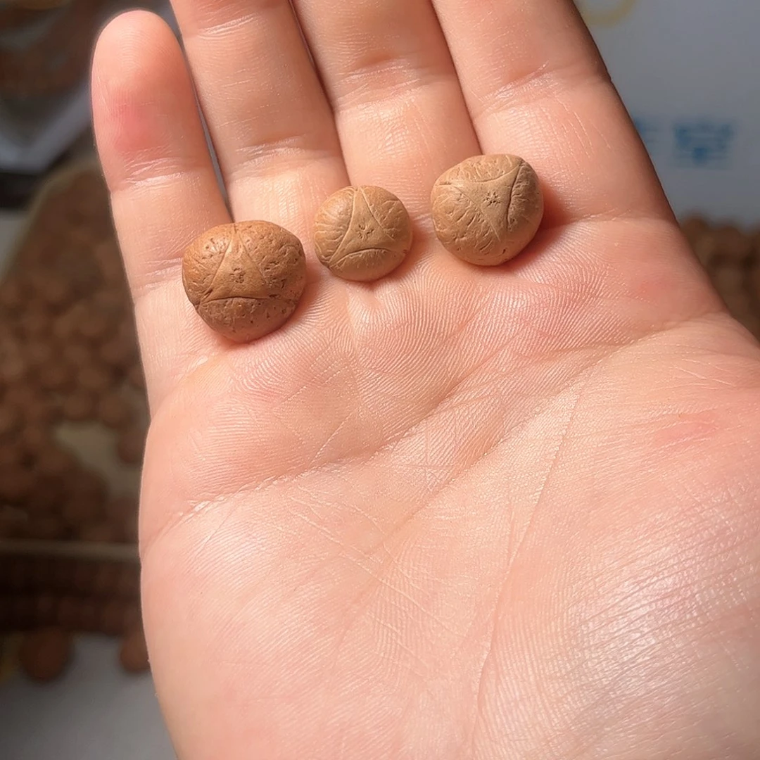 桃核吊坠17mm龙眼，开孔不退，偏远不包