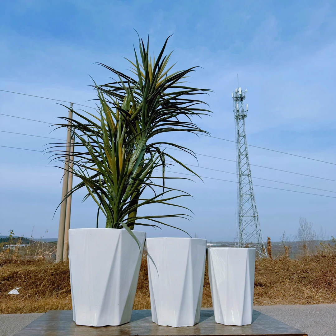 八方菱形天堂鸟网红轻奢颜值龙血树高温陶瓷龟背绿植落地大花盆