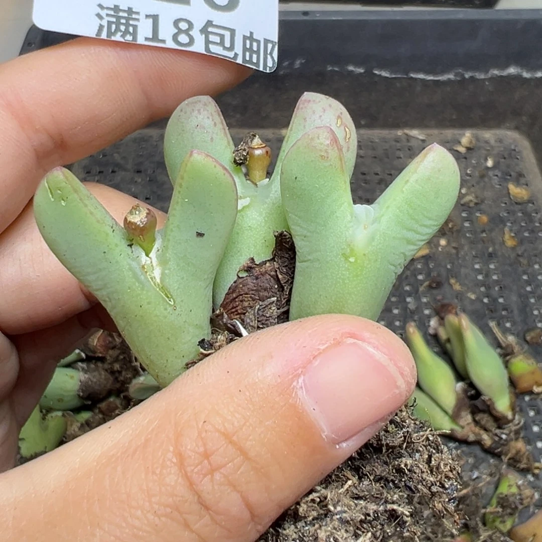 【闪购商品】716…..