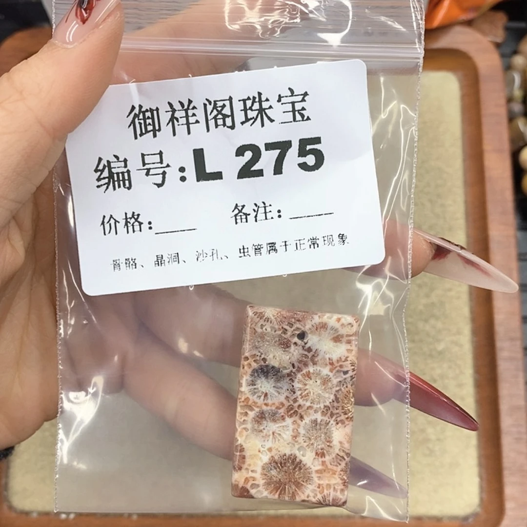 硅化珊瑚（珊瑚玉）颈饰未镶嵌C**N
