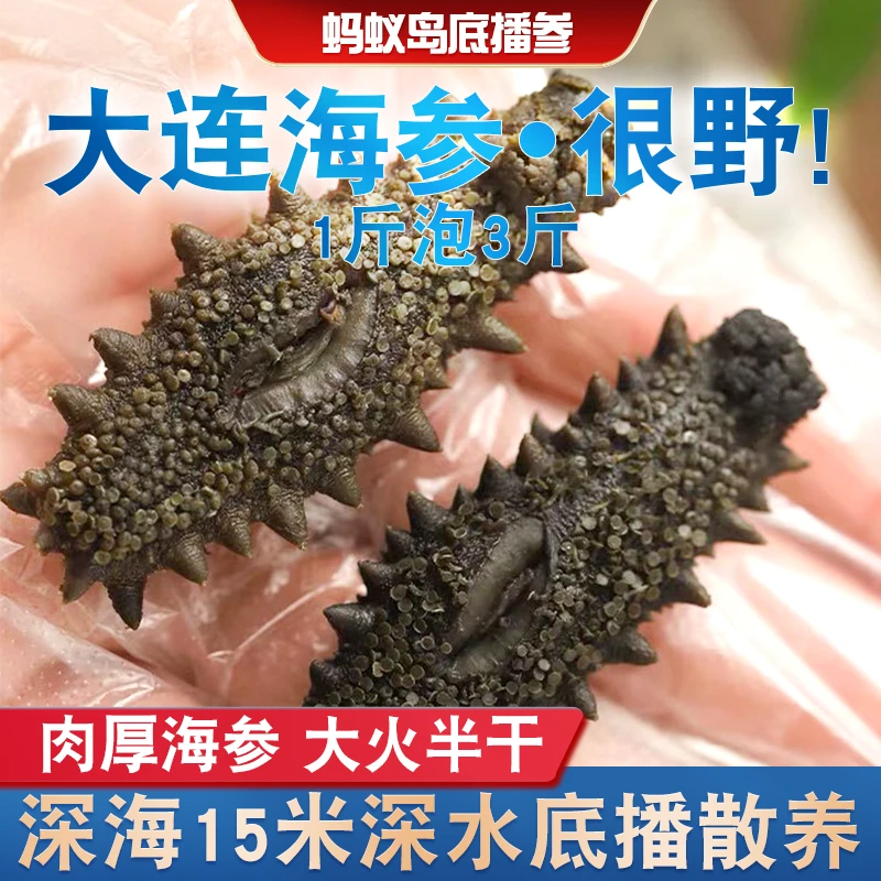 大连辽刺参深海拉缸盐海参[25-30头左右/500g]顺丰包邮