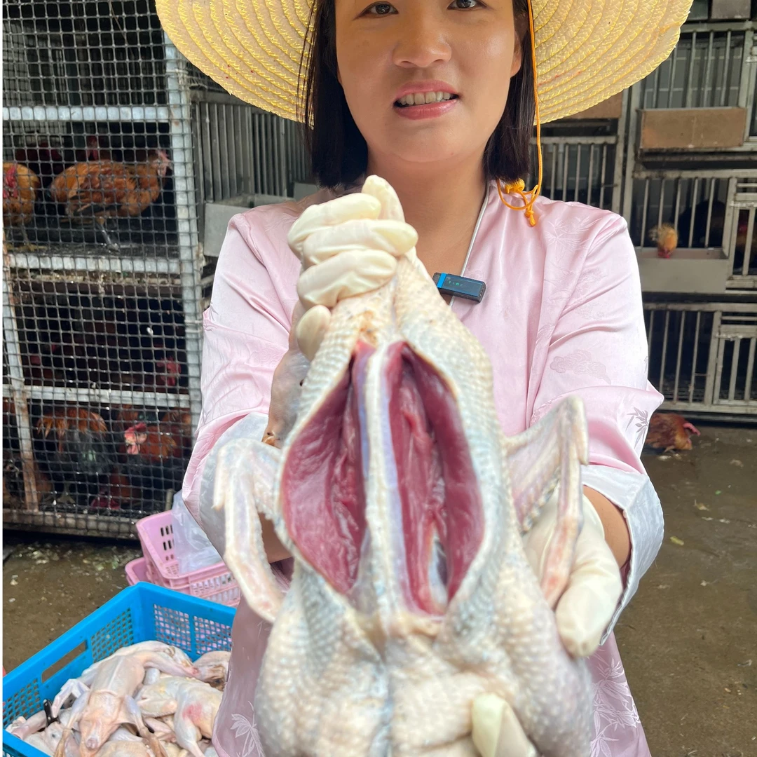 散养老土鸭整只新鲜现杀放养老土鸭子鸭肉同城配