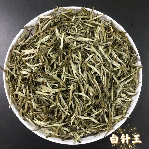 2025年新茶茉莉花茶浓香型甘甜茉莉银针白针王