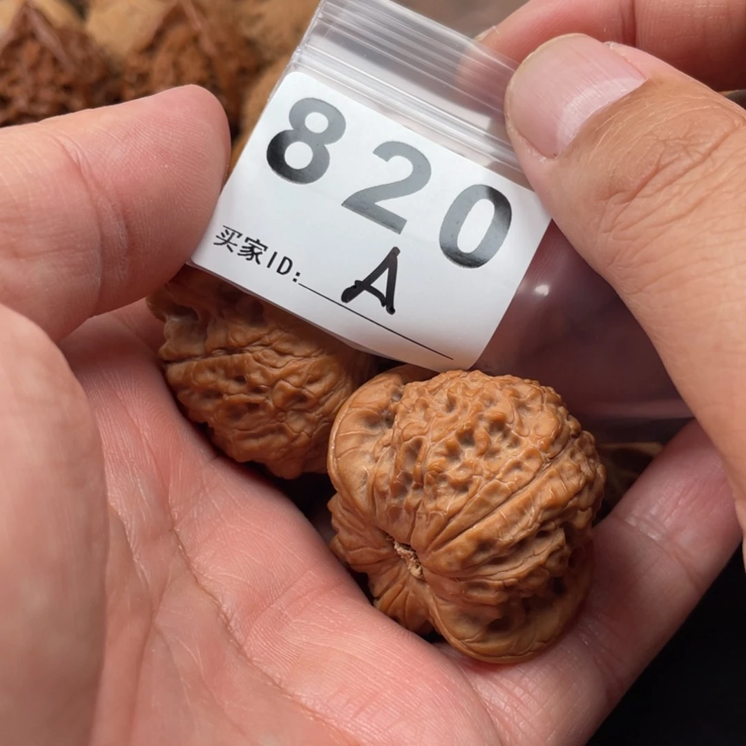 菩提根/象牙果吊坠乐**中血麒麟