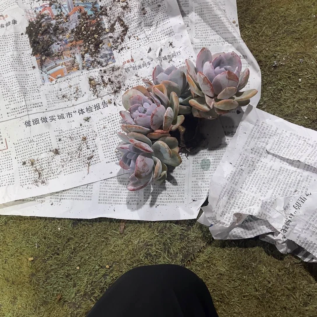 滴***珠滴滴滴的奶茶多头群