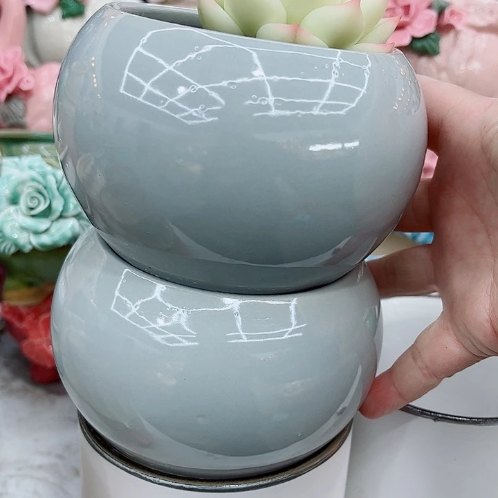 多肉植物陶瓷花盆