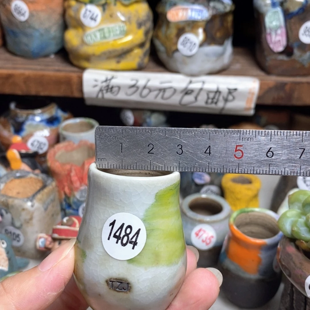 拍5送一个小礼物