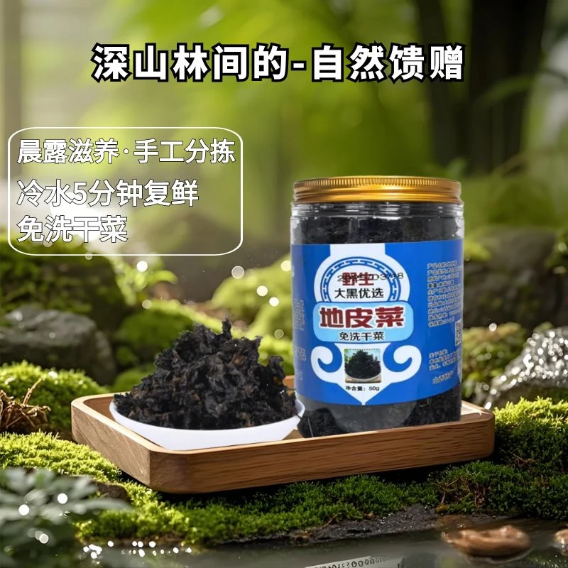 山西大同地皮菜野生地衣50g袋山西特产地木耳免洗