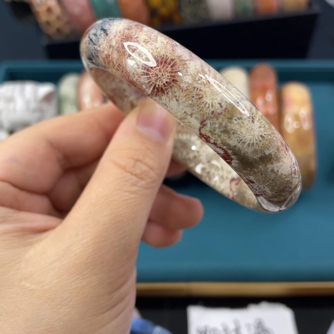 未镶嵌手镯硅化玉