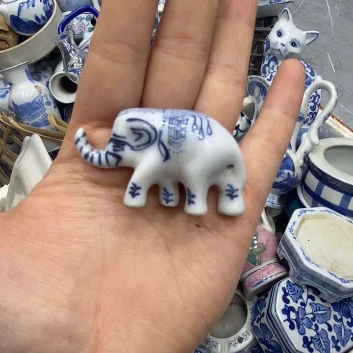 小象000000000000000
