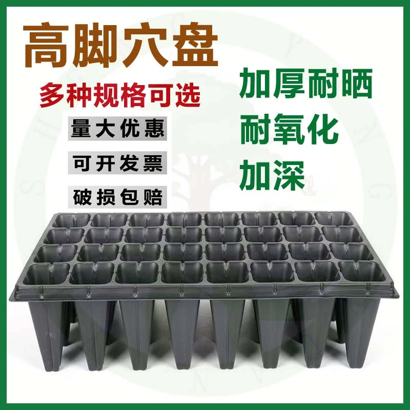加厚高脚高款育苗盘 穴盘育苗盒苗木多肉育苗箱育苗盆种植盘