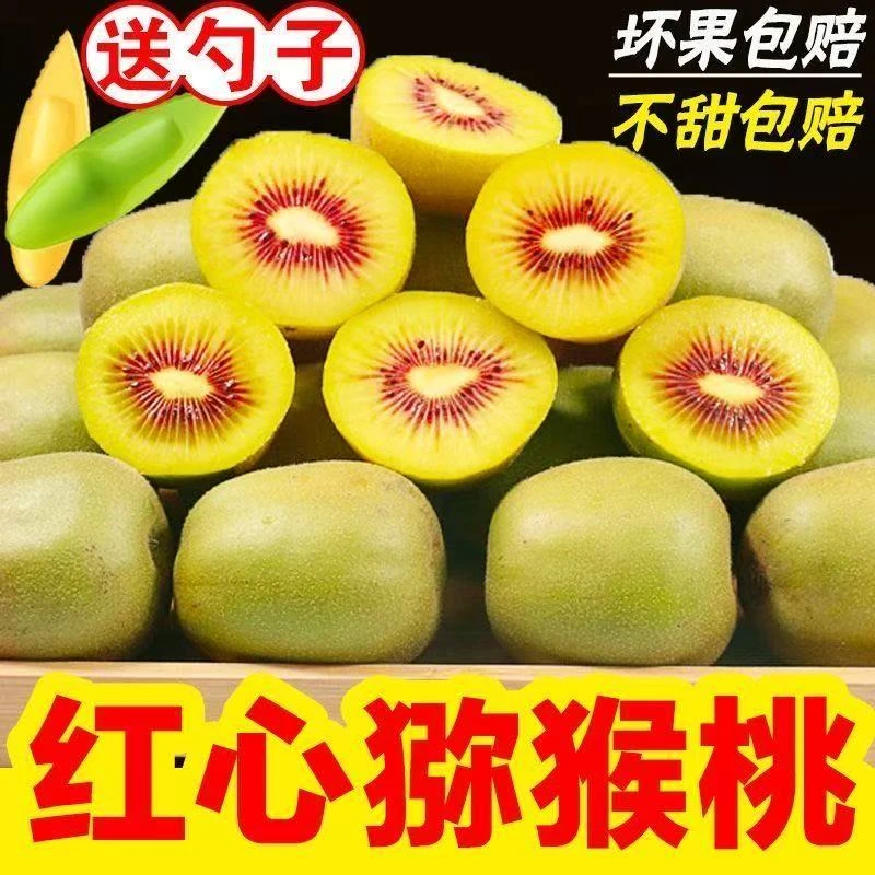 正宗四川红心猕猴桃奇异果大果当季新鲜水果整箱单果90g+软糯香甜