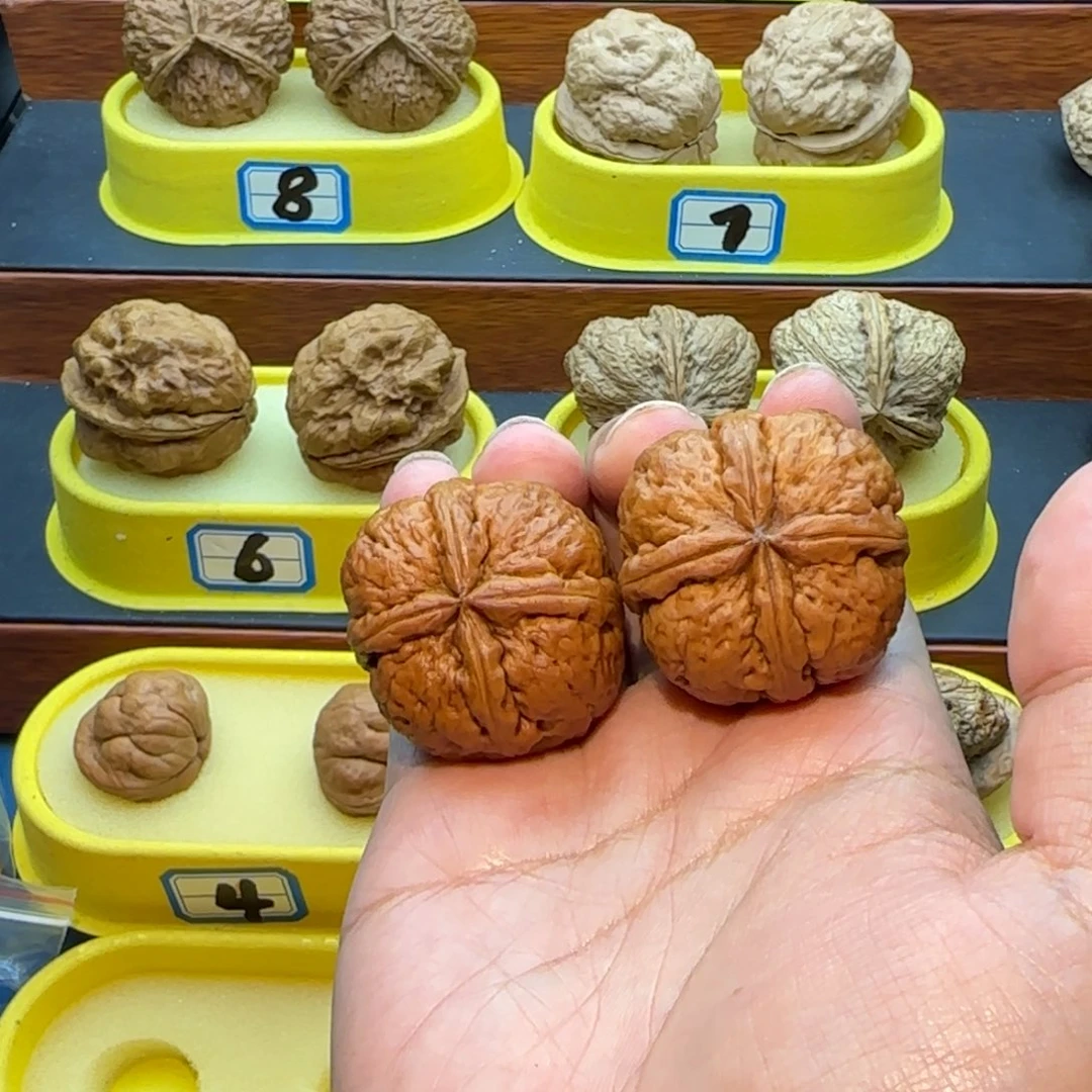 哆***咪桃核把件四炸核桃