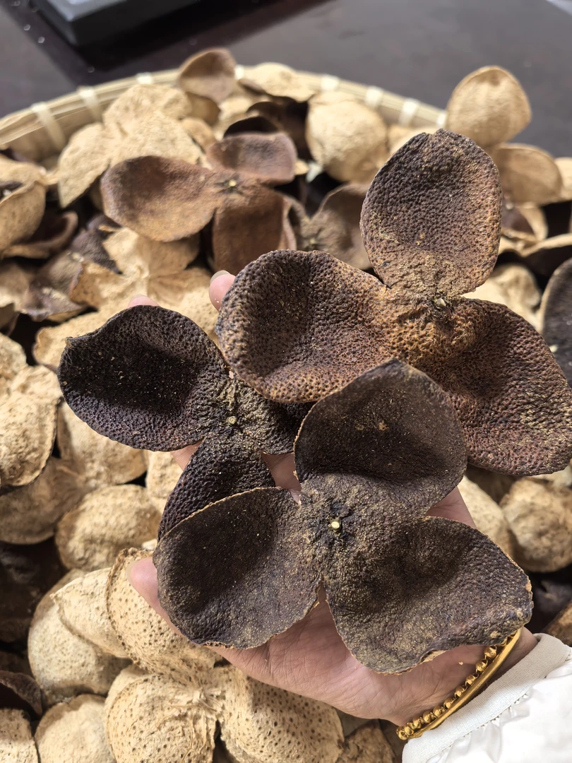 五年老陈皮（自然存放）