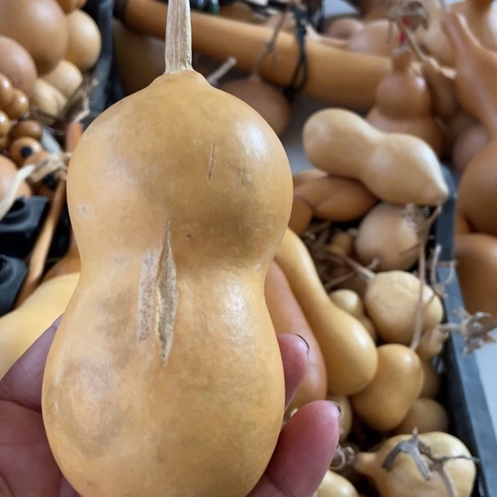 西*心hzvfdfhhioufdghioi