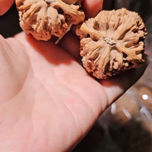 扎***。文玩核桃吊坠47粗筋