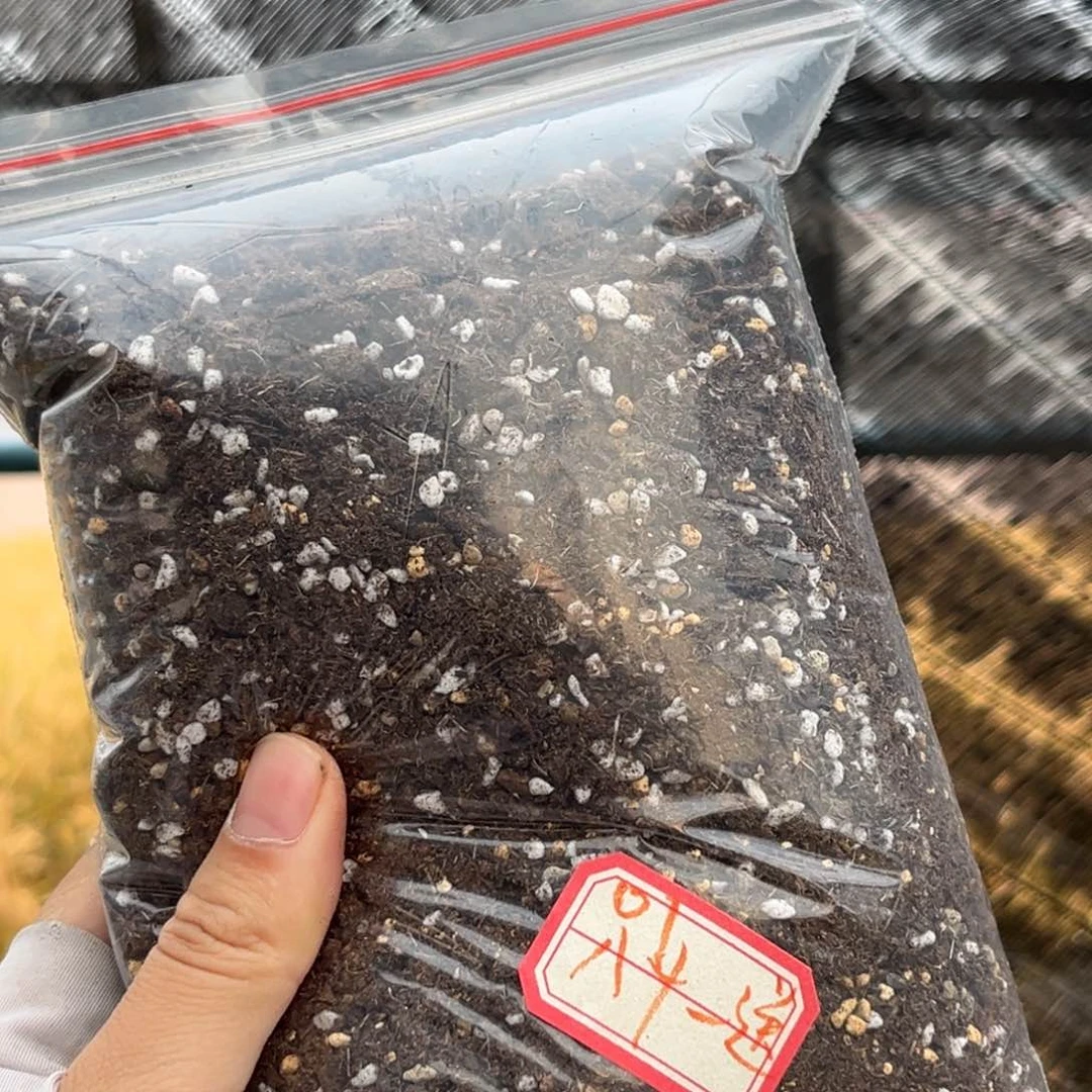 ?**①土福袋 01。