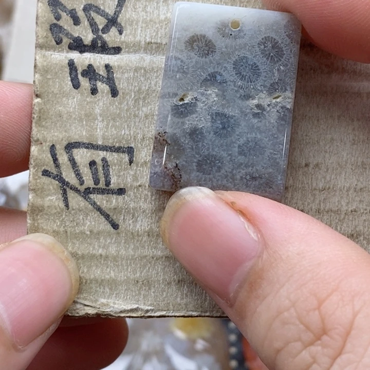 颈饰未镶嵌硅化珊瑚（珊瑚玉）只*小