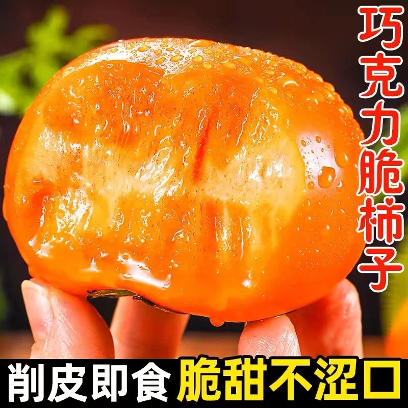 直播应季季丰收整箱卖货产地柿子硬柿子脆甜新鲜大果批发巧克力