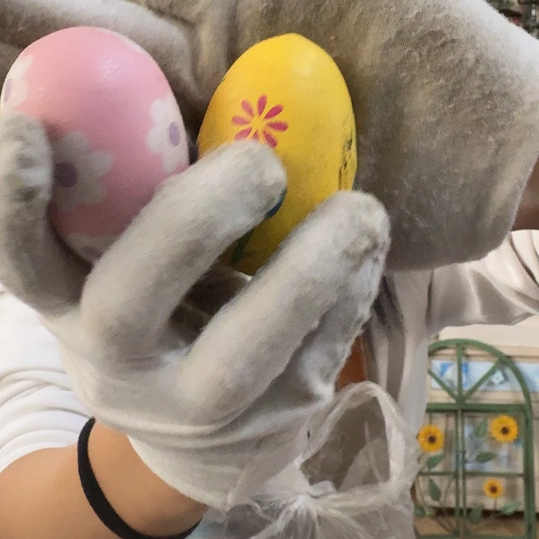 核桃木/黑胡桃（胡桃木）