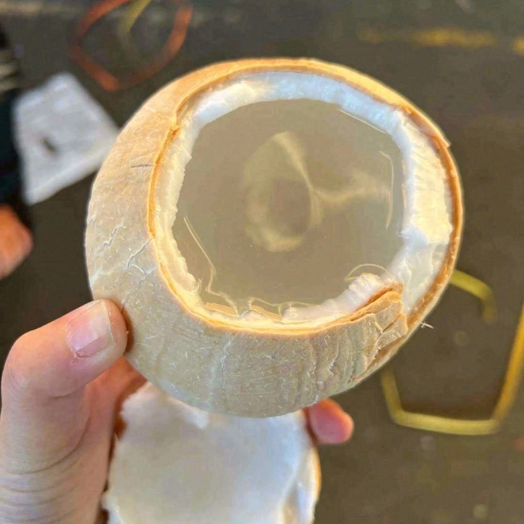 【果真不错】奶香椰皇 约450克/个 天然饮品椰汁 武汉小时达