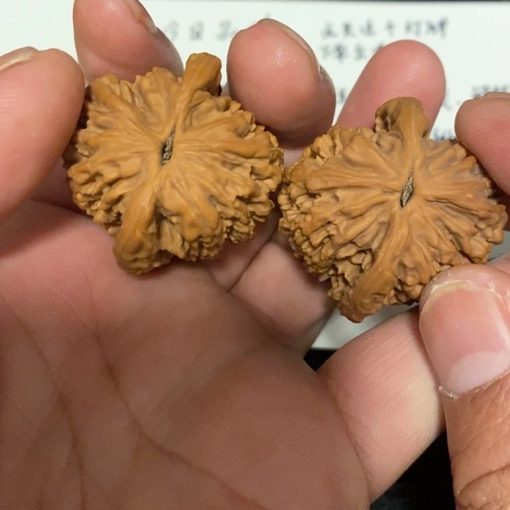 全品麦穗虎头38尺寸