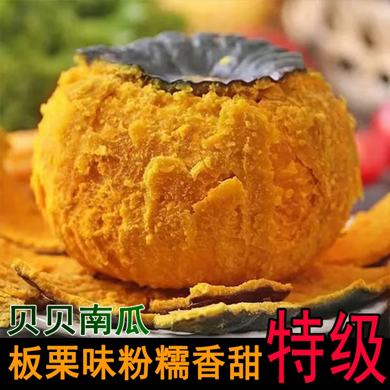特级 正宗贝贝南瓜 宝宝辅食 代餐 老南瓜 新鲜板栗小南瓜 礼盒装