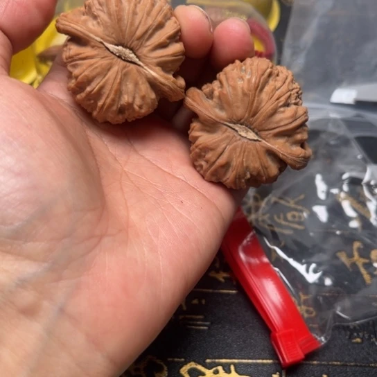 43尺白狮子全品无修