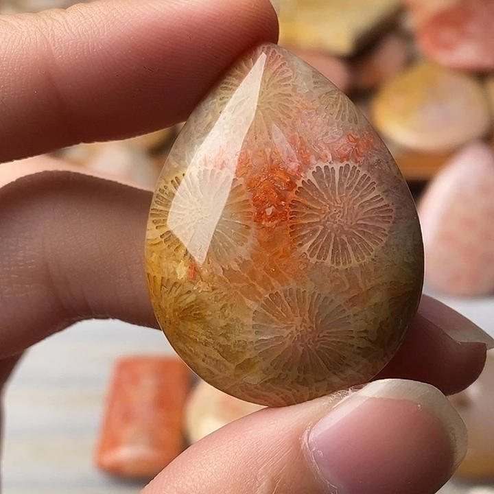 *****硅化珊瑚未镶嵌颈饰