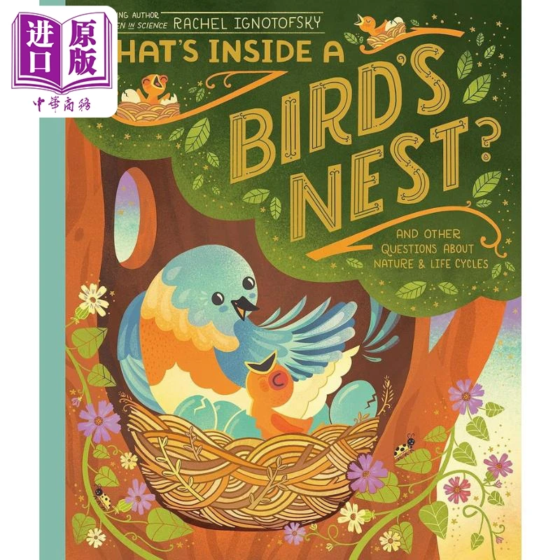 【中商】鸟巢的构造 Rachel Ignotofsky Whats Inside A Birds Ne
