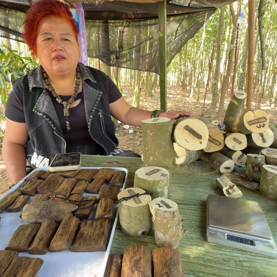游***生线香沉香奇楠原木
