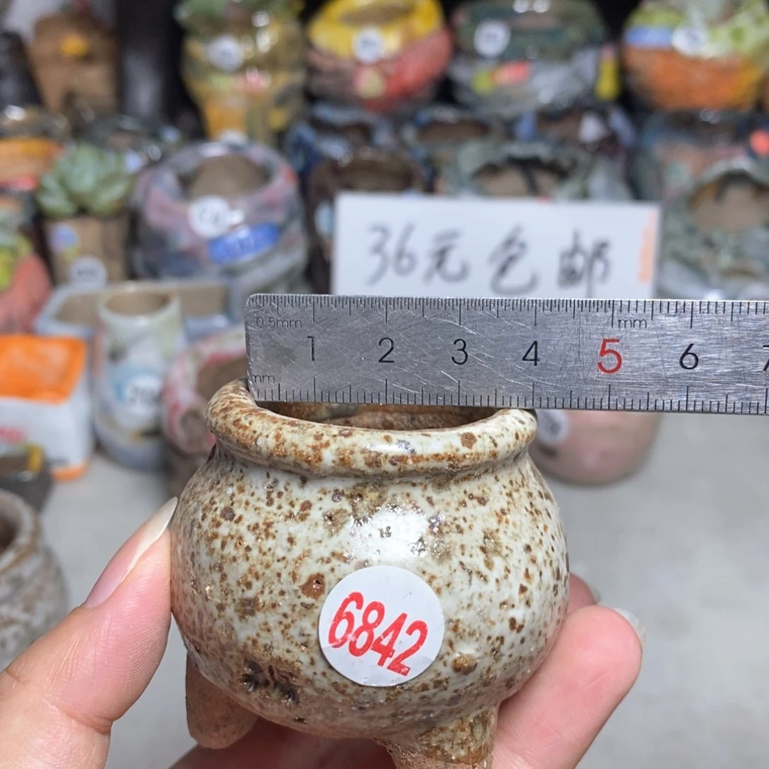 拍3送一个9.9拍5送同款