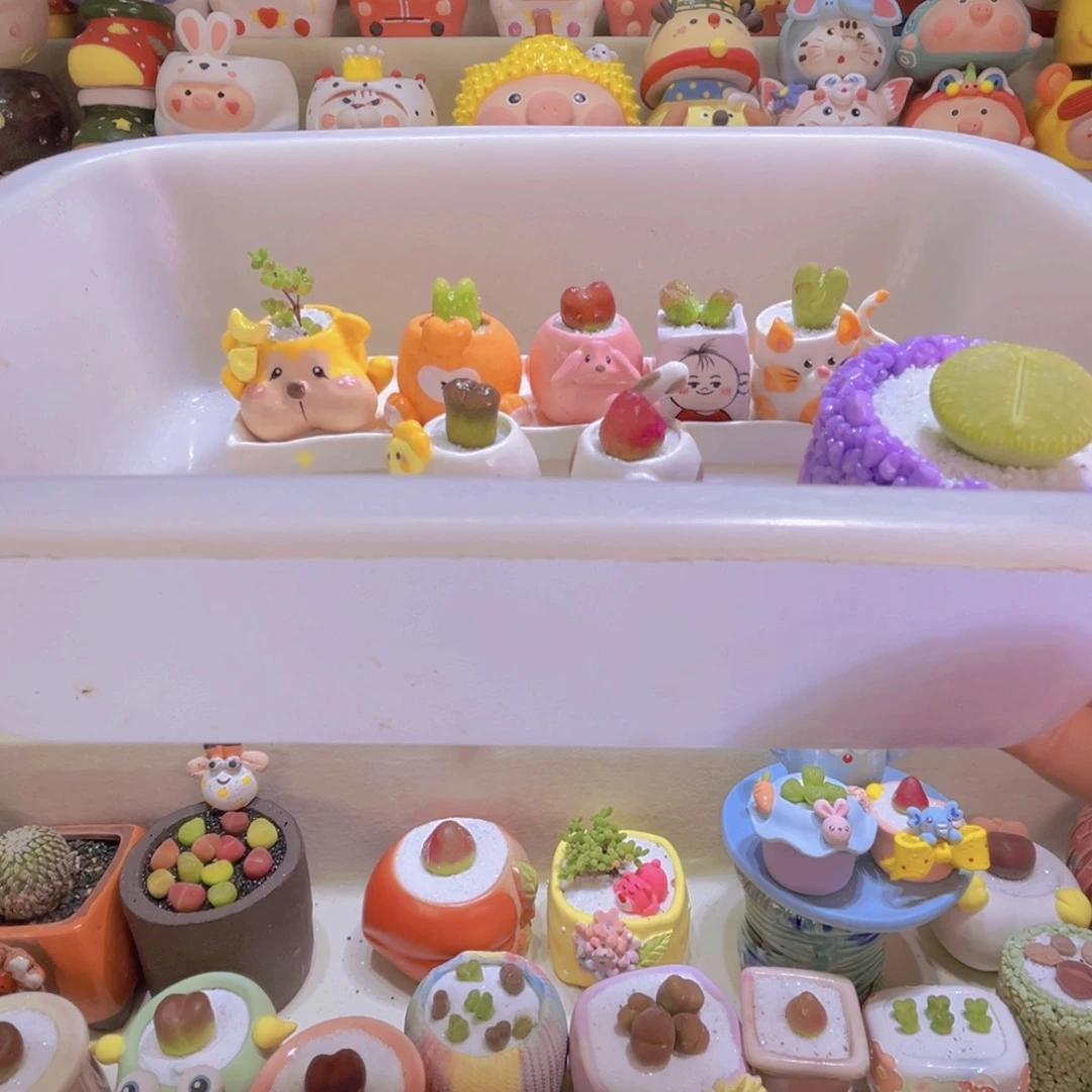 099肉锥组合连盆带土包邮