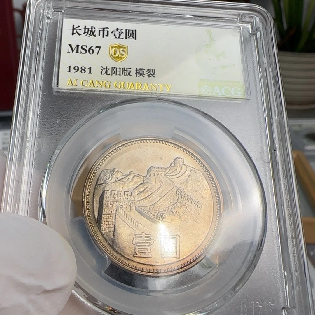 81年一元评级67分，模裂