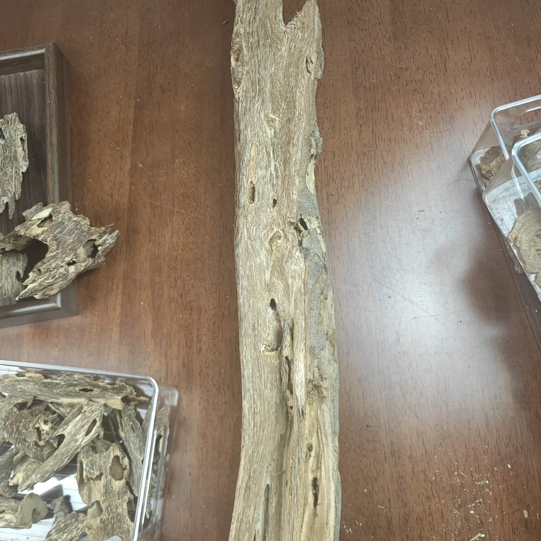 天然虫漏摆件国香白木香