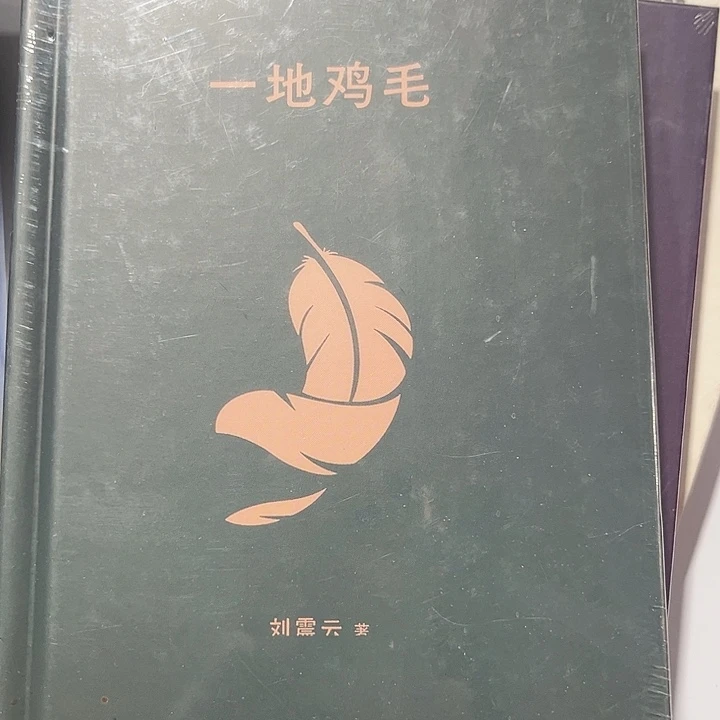 一地鸡毛全新精装