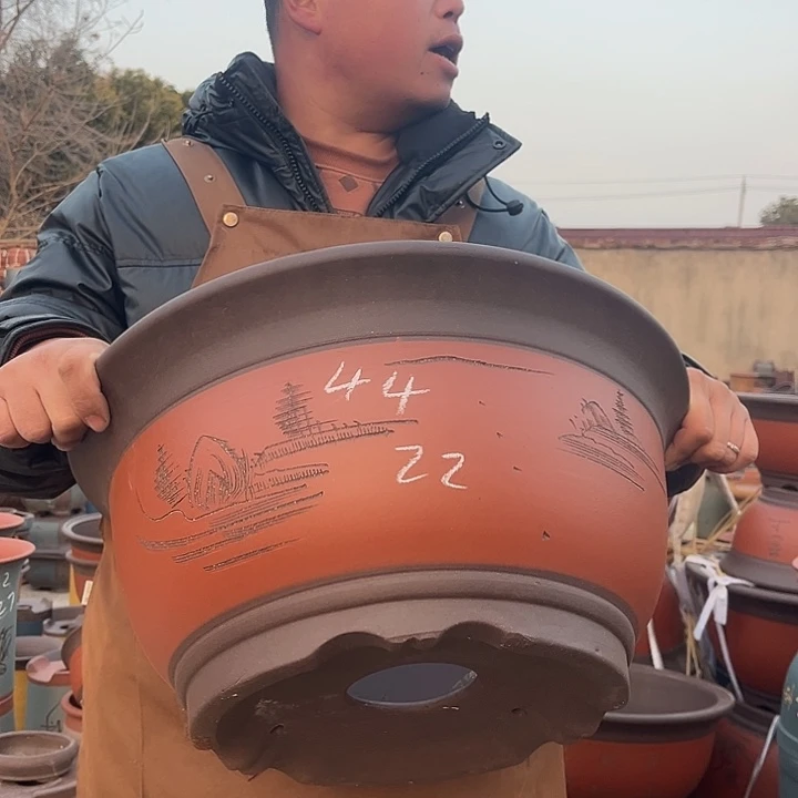 紫砂紫砂花盆盆栽