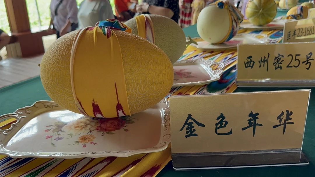 金色年华新疆哈密瓜哈密直发一箱3到4个装毛重24斤顺丰包邮走