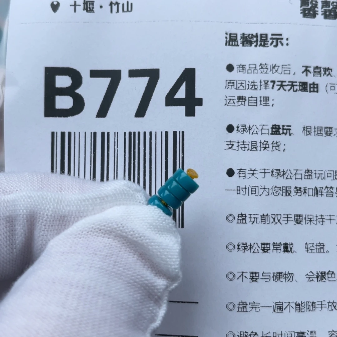 绿松石未镶嵌颈饰