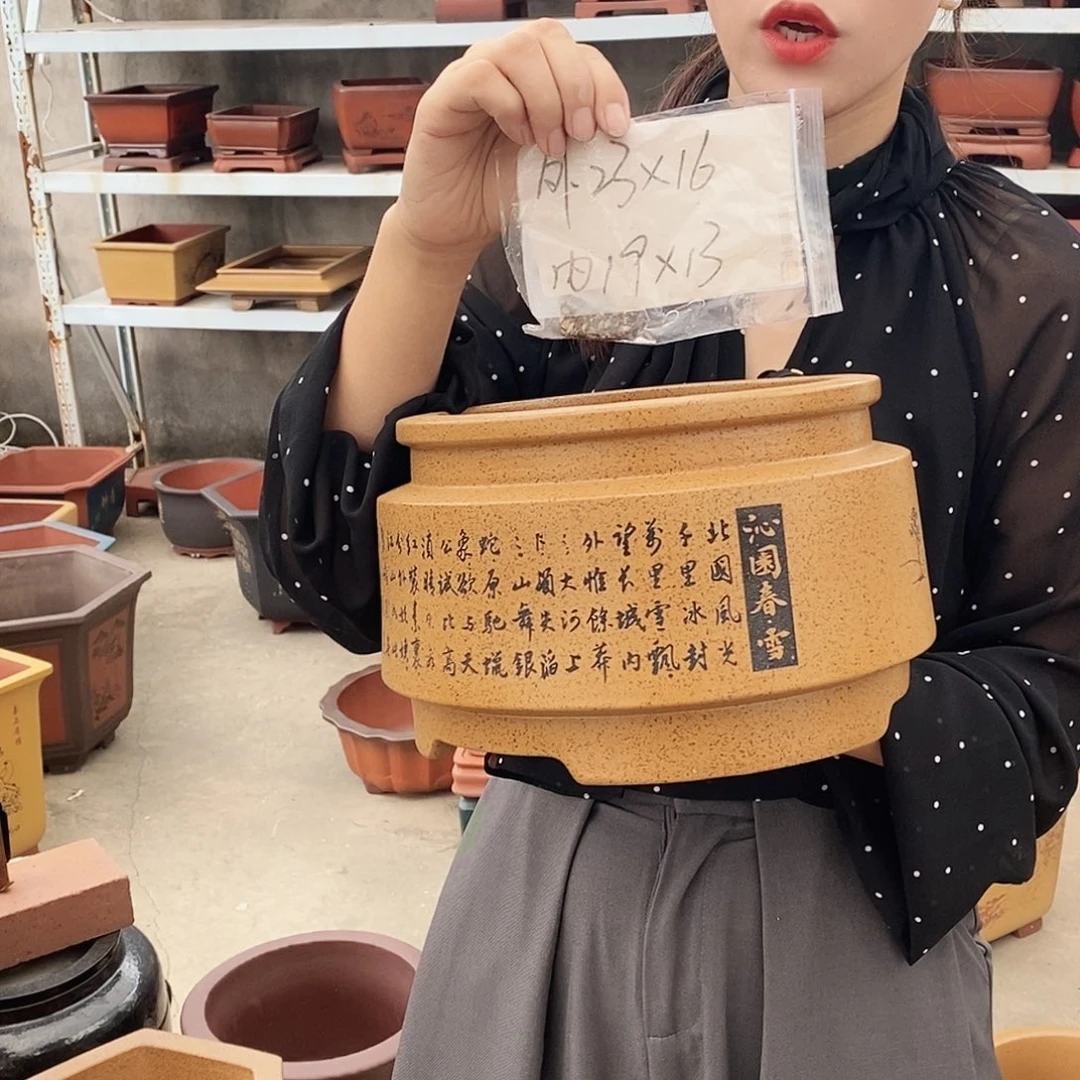 紫砂花盆紫砂花盆