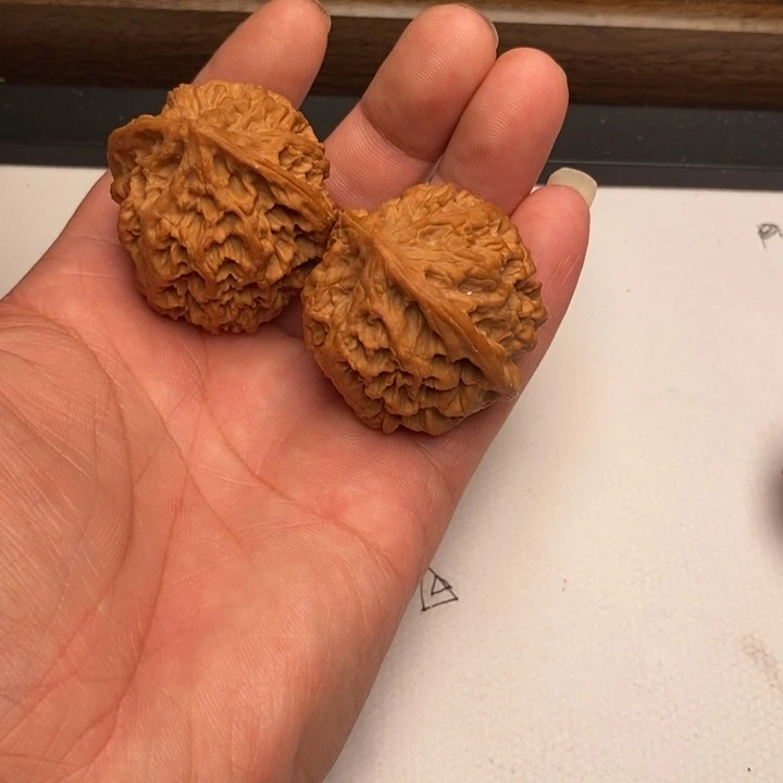 庸***人野牛狮子头41尺寸有磕碰