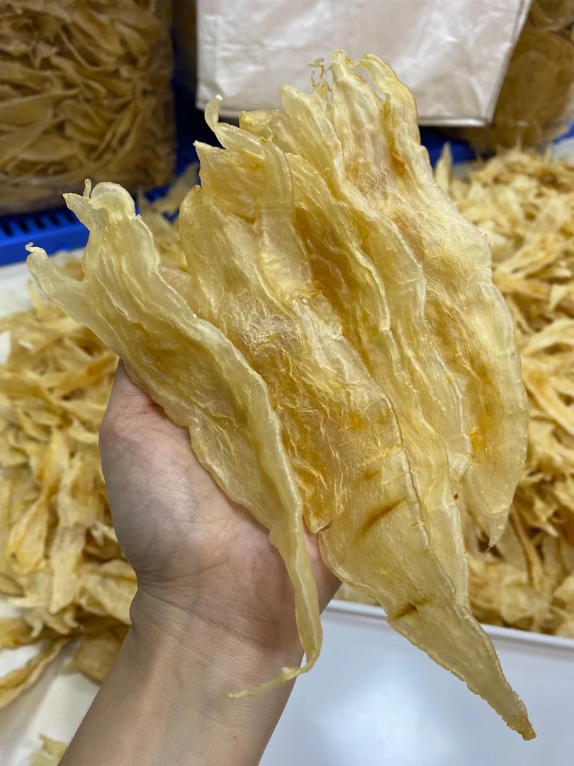45头北海鳘鱼胶花胶