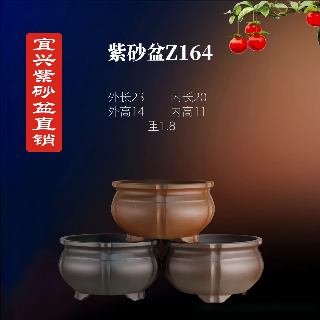 宜兴紫砂盆金弹子绿植盆景