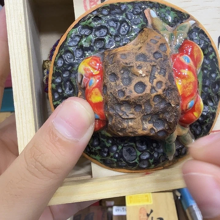 茶宠哈哈哈哈哈哈哈哈哈