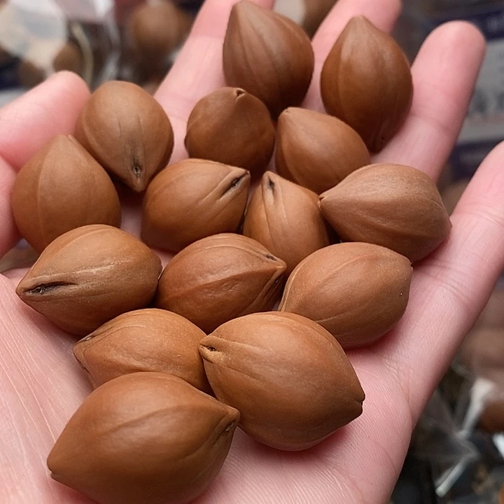 手串/手链橄榄核