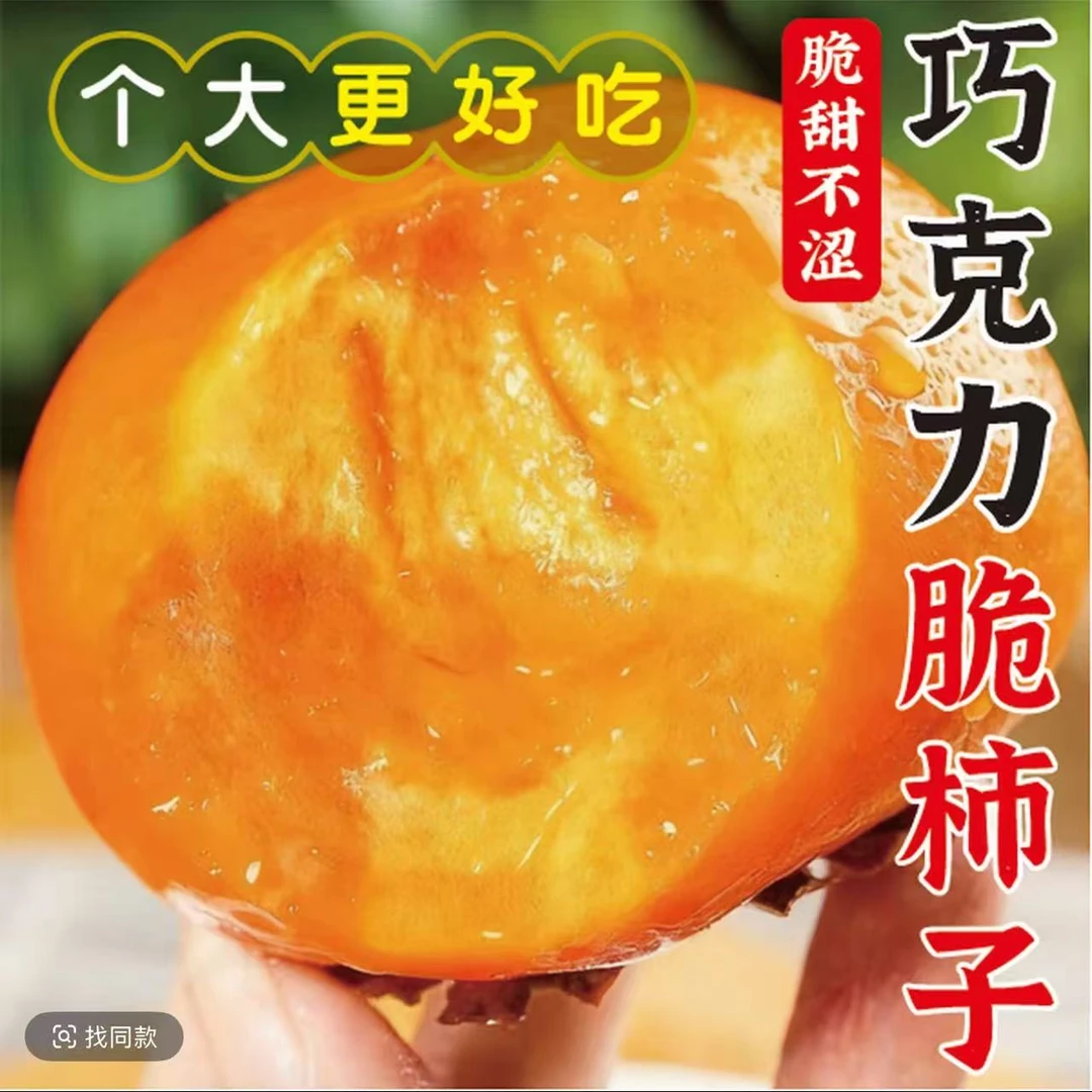 【现摘现发】山西阳丰巧克力脆甜不涩口硬柿子新鲜水果无核脆甜
