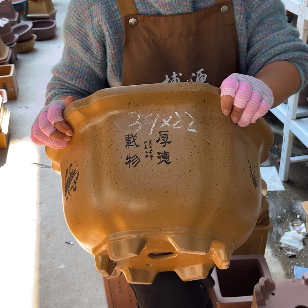 花盆紫砂盆景艺术