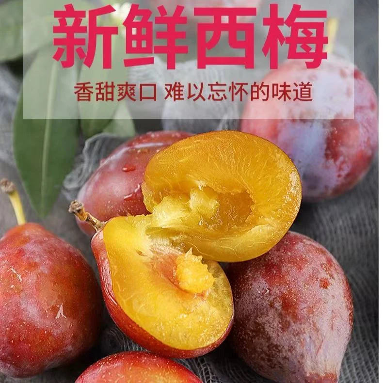 （顺丰包邮）新疆喀什法兰西西梅应季新鲜水果